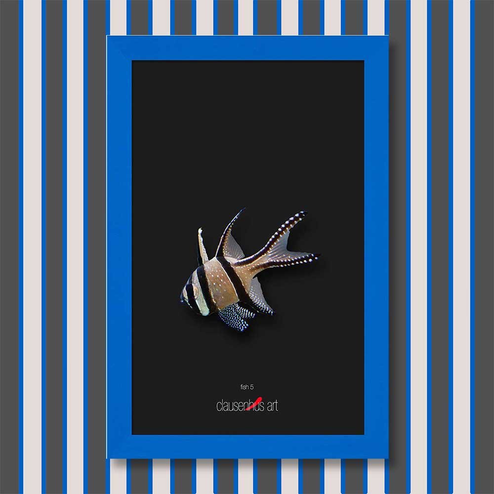 fish-5-copy.jpg