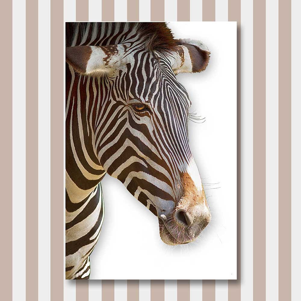 titel: zebra 1