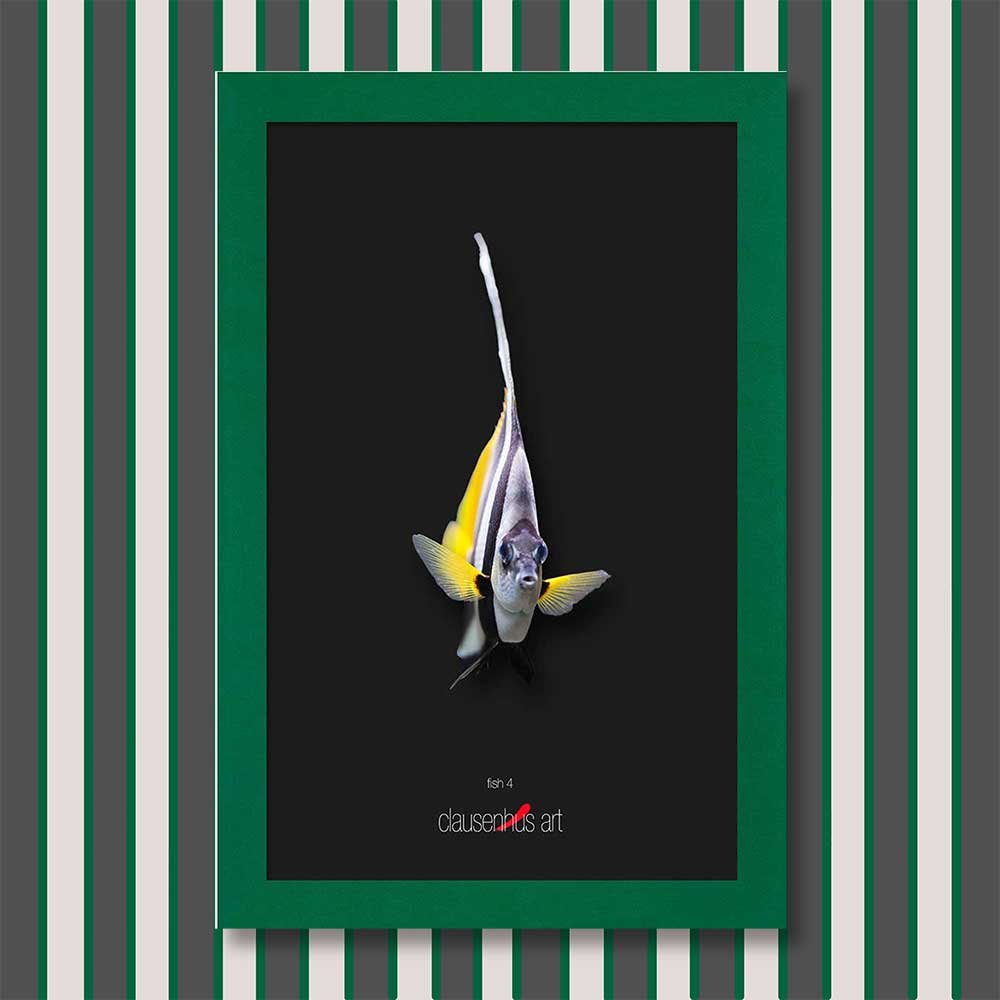 fish-4-copy.jpg