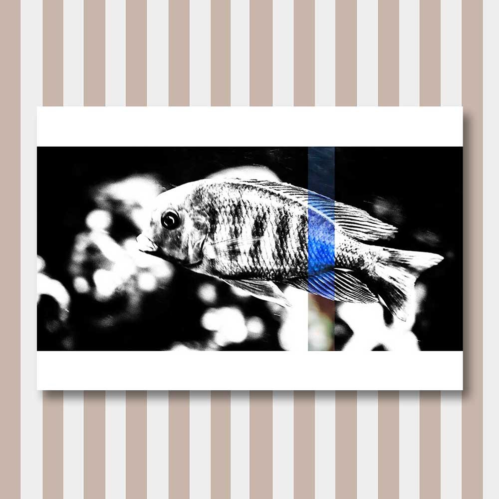 titel: perception 5