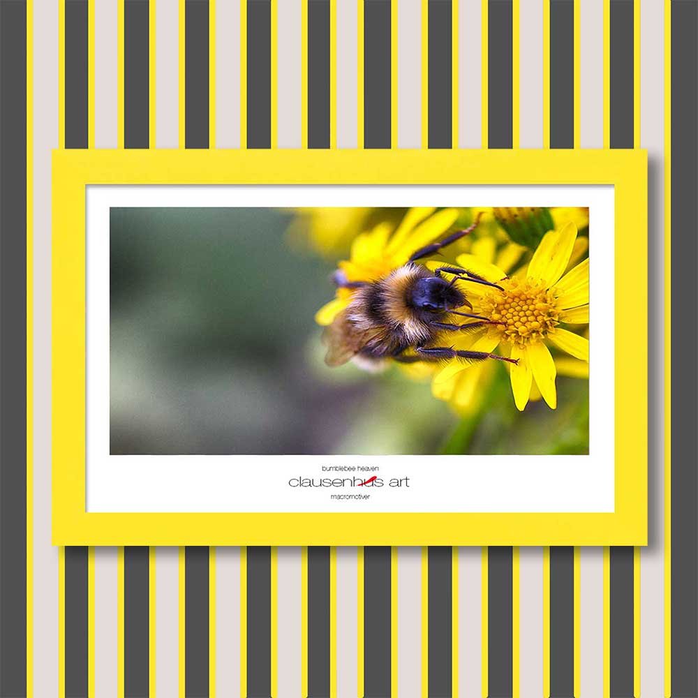 bumblebee-heaven-copy.jpg