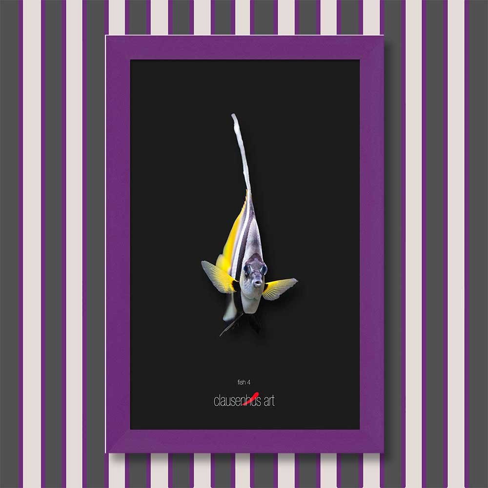 fish-4-copy.jpg