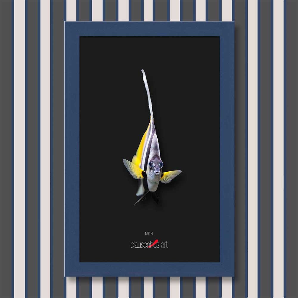 fish-4-copy.jpg