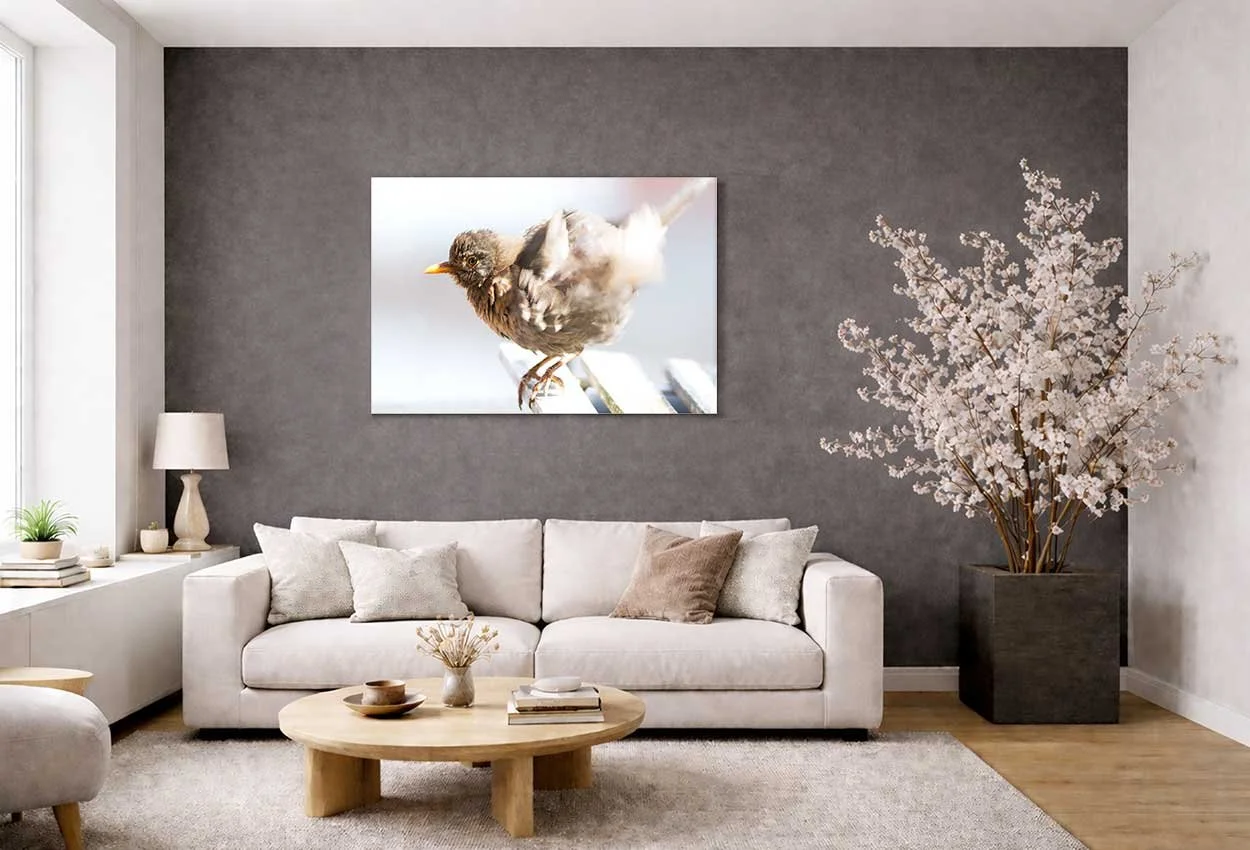 Dagligstue-fugle-galleritryk-1.jpg