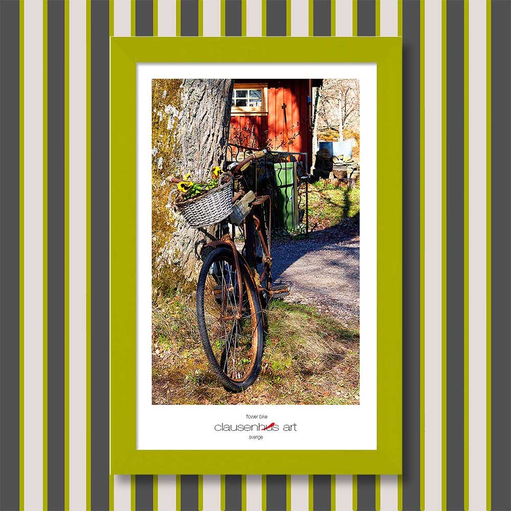 flower-bike-copy.jpg