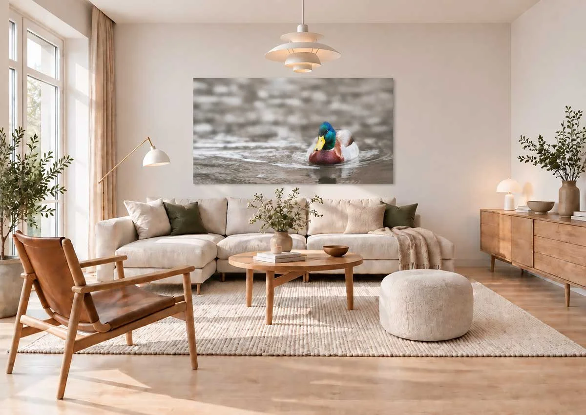 Sunlit-Scandinavian-Living-Room-with-Duck-Art.jpg