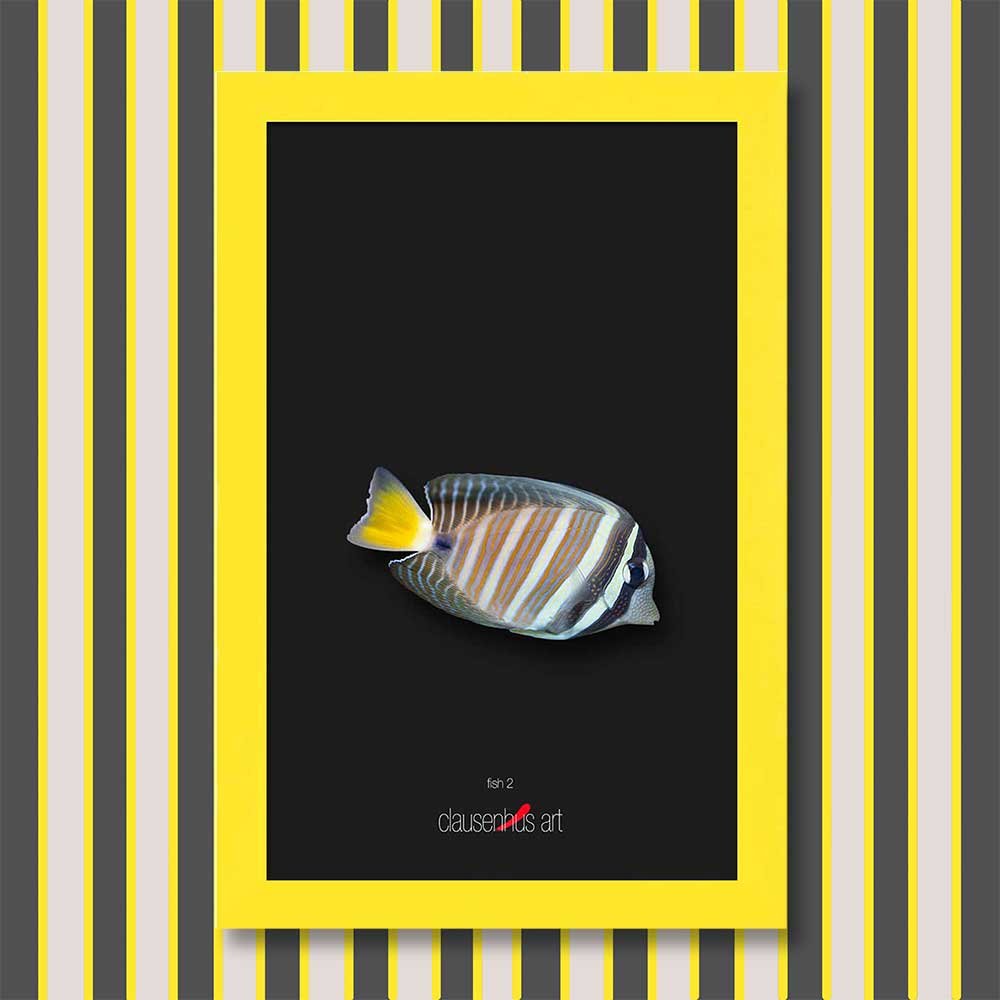 fish-2-copy.jpg