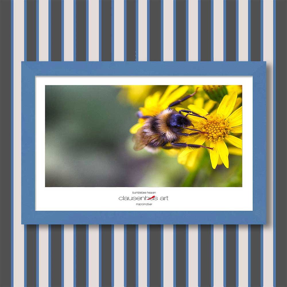 bumblebee-heaven-copy.jpg