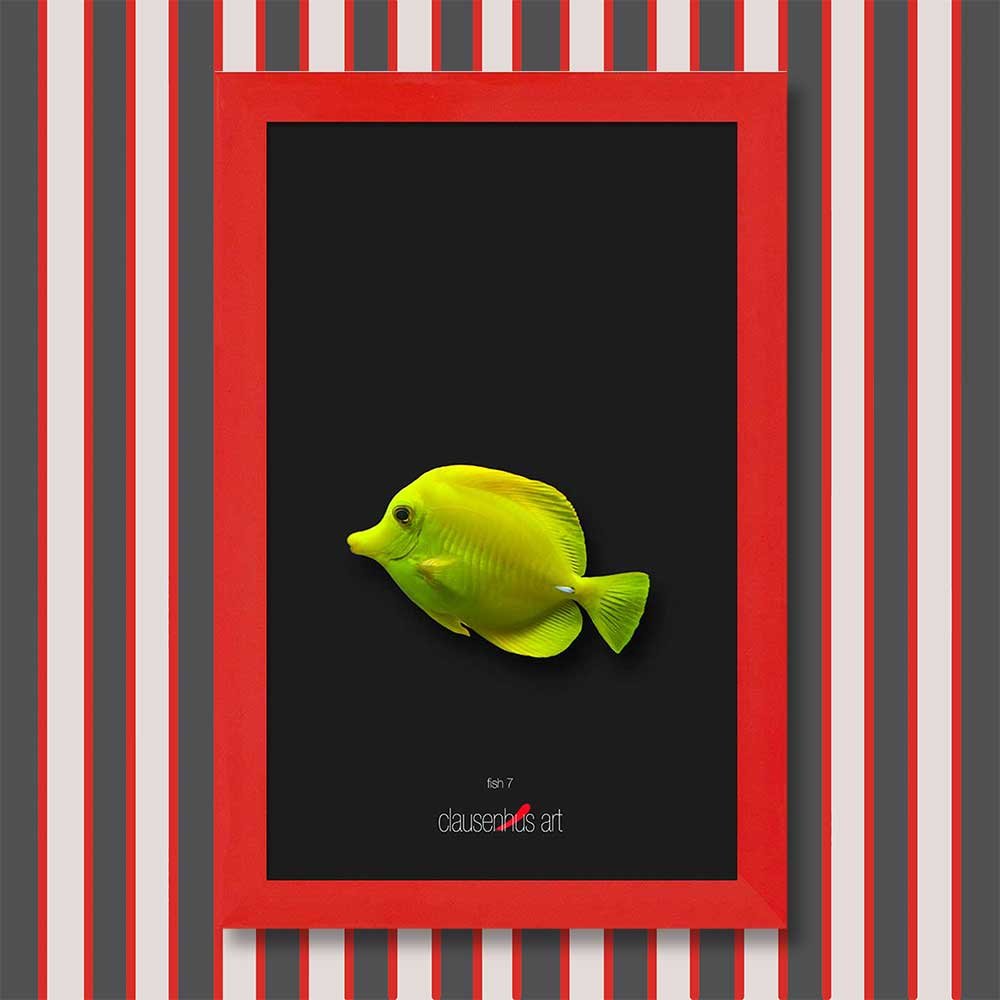 fish-7-copy.jpg
