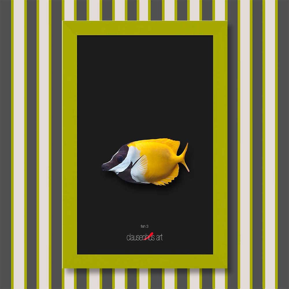 fish-3-copy.jpg