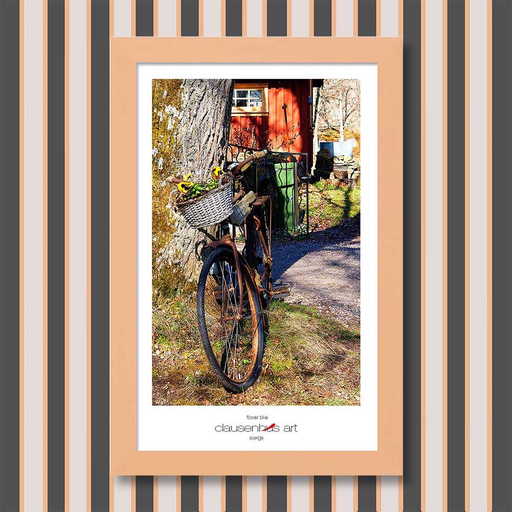 flower-bike-copy.jpg