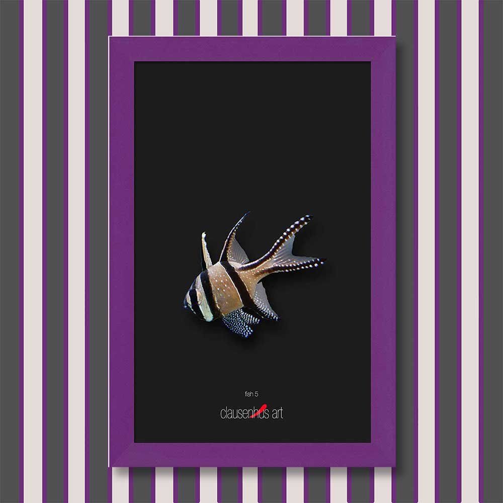 fish-5-copy.jpg