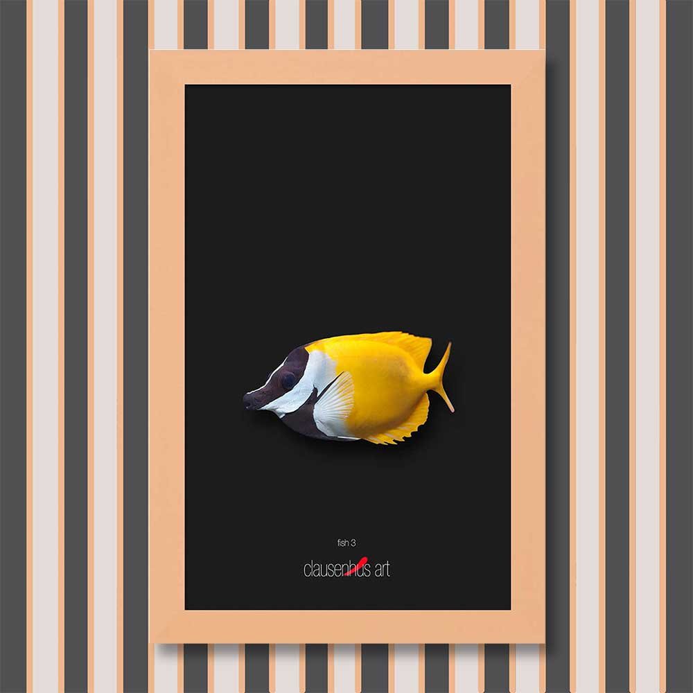 fish-3-copy.jpg