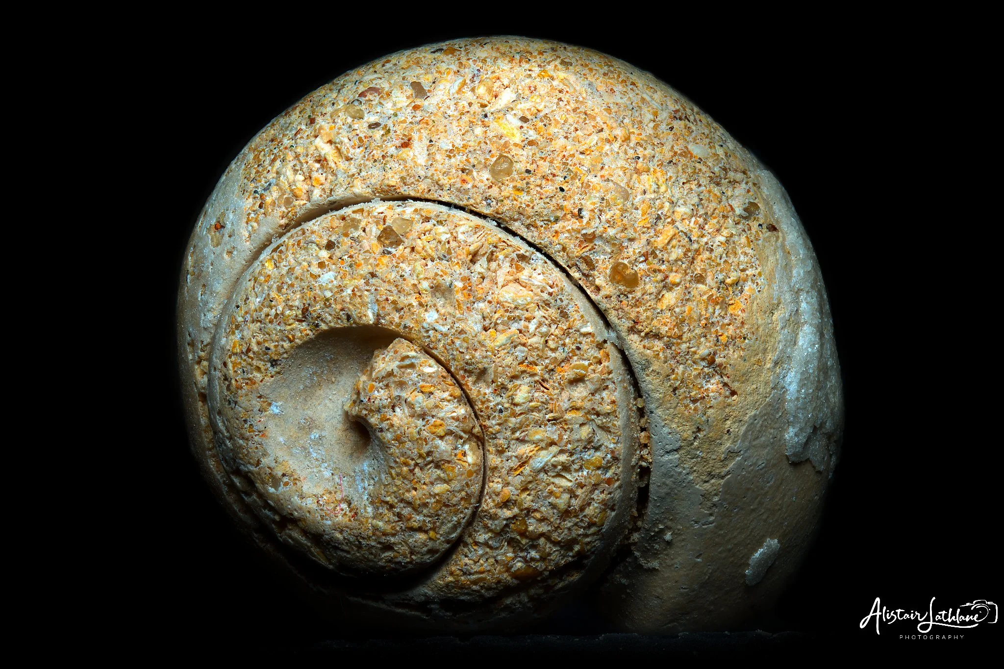 Stone_1.jpg