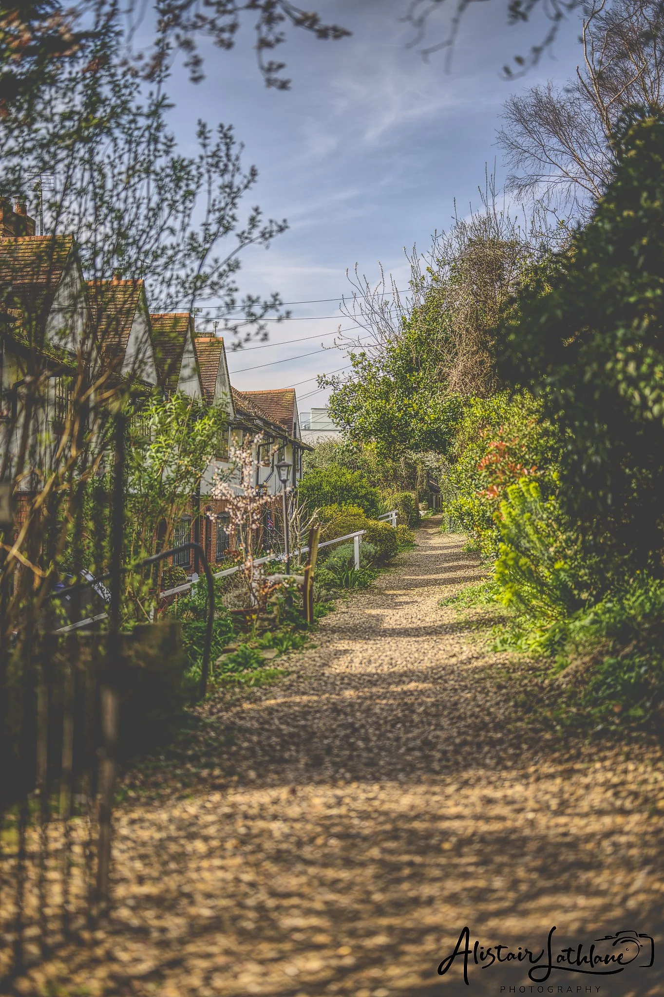Street Walk_1.jpg