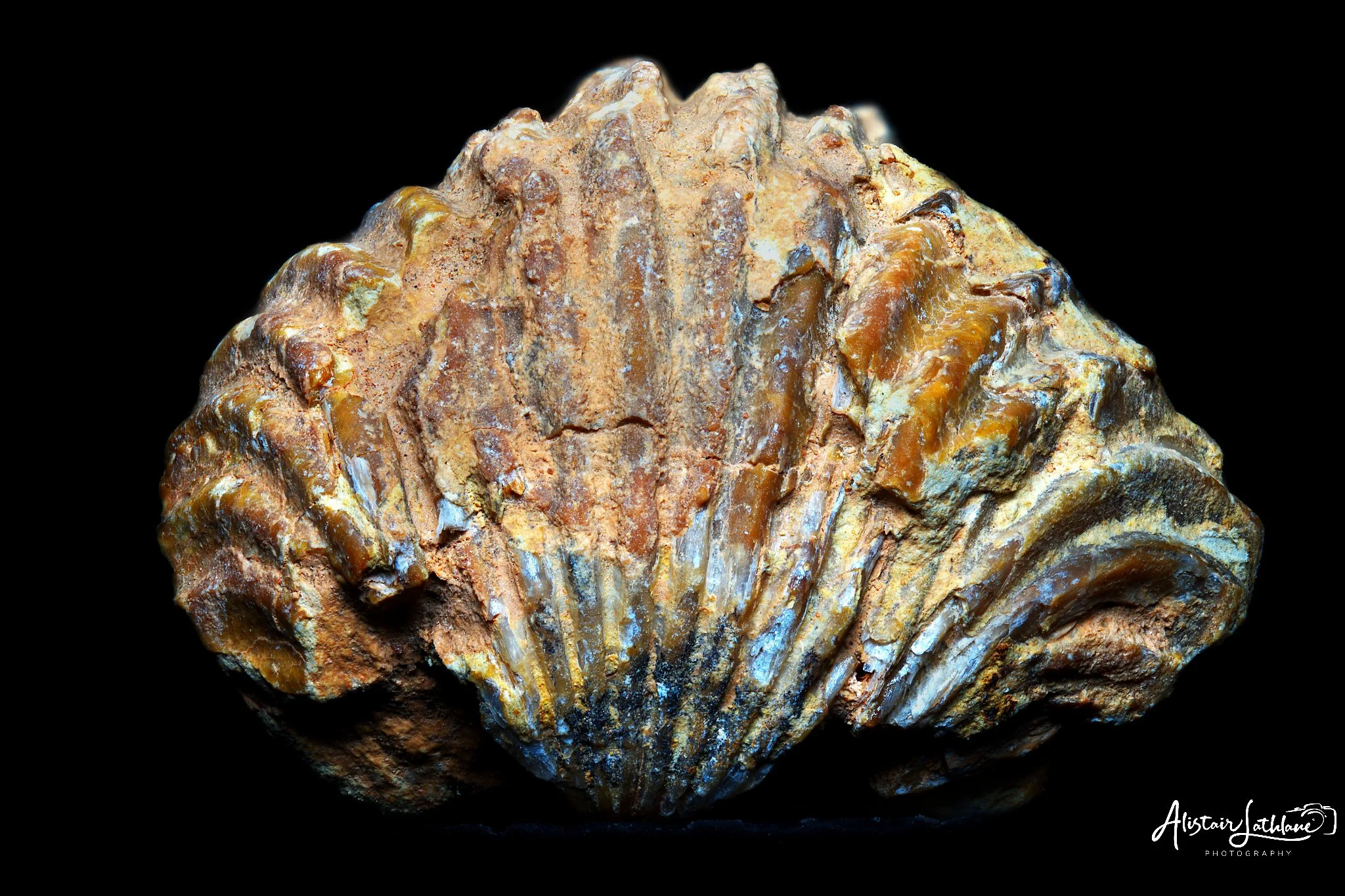 Stone2_1.jpg