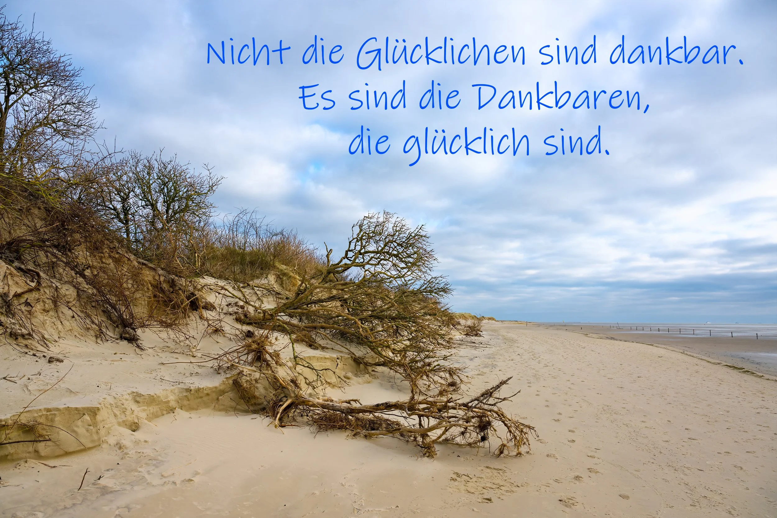 Neujahrsgruß 2026