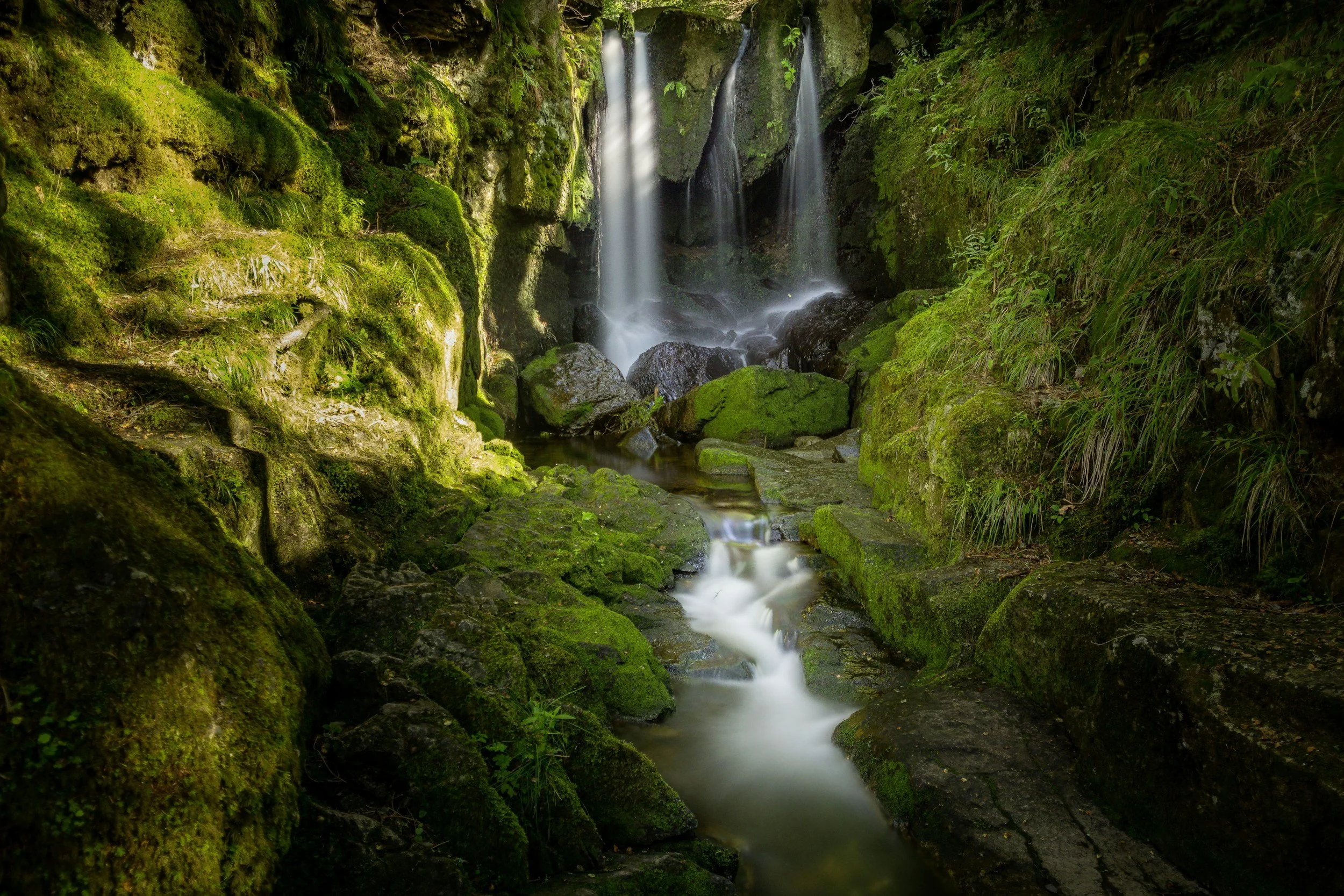 A small waterfall in a forest, with water flowing over moss-covered rocks and lush green foliage.