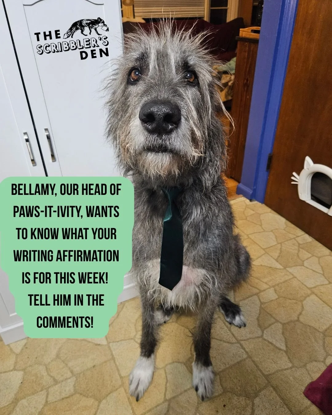 Hey Scribblers, how are you heading into this week? Drop your affirmation in the comments so we can cheer you on. 

As an added bonus, every comment will equal an extra minute of tummy scritches for Bellamy! 

#Amwriting #writingwins #writinglife #wr