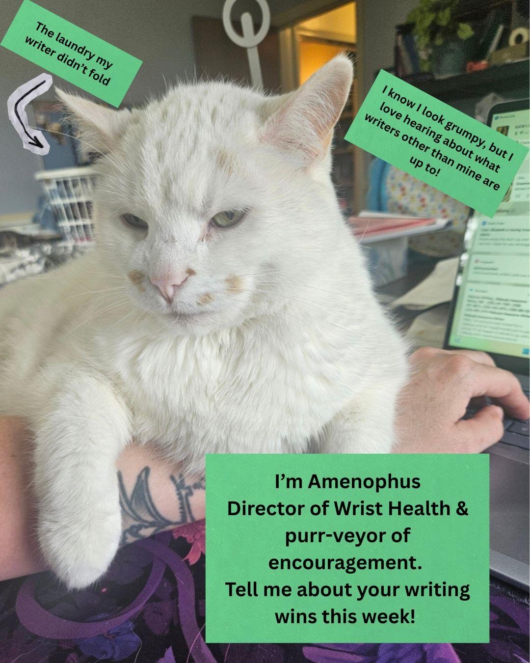 Howdy Scribblers! Tell Amenophus all about your writing wins this week!