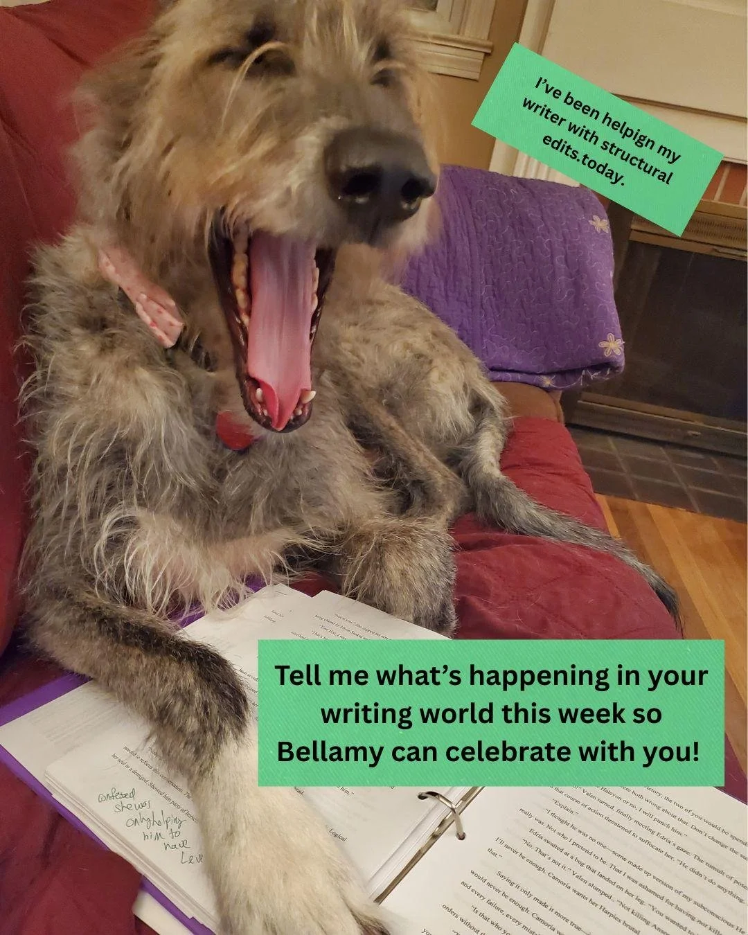 Scribblers, you know the drill! Drop this week's writing wins in the comments so we can celebrate with you! #amwriting #writingwins #writingcommunity