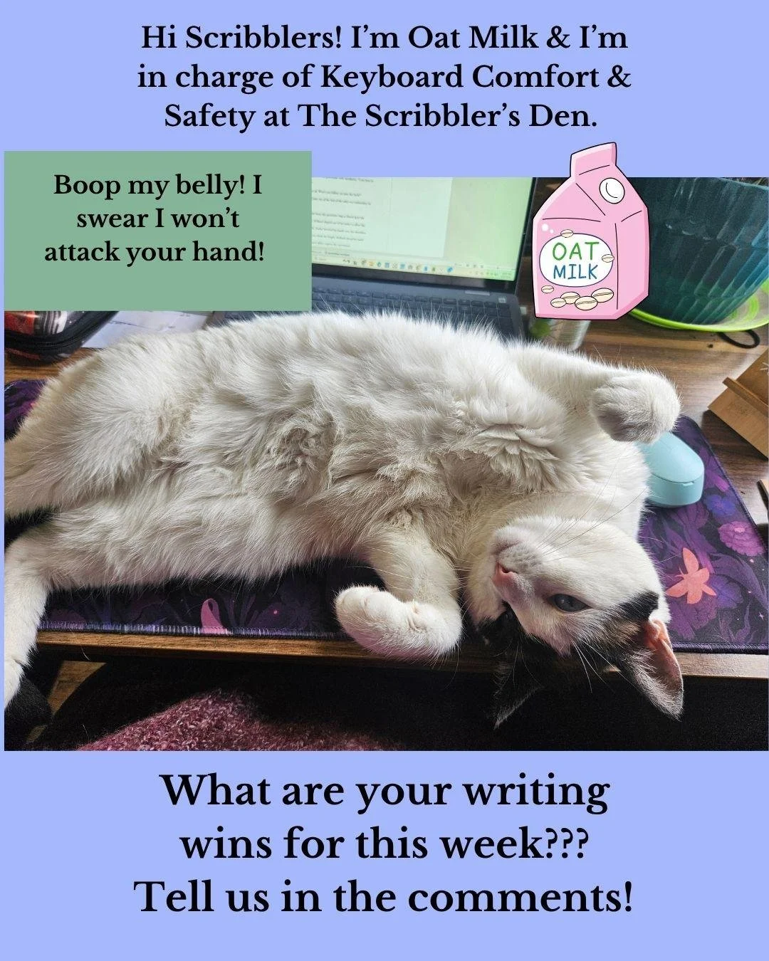 Tell us your Writing Wins in the comments!! Oat Milk loves to celebrate my wins by blocking my keyboard and demanding belly rubs. #writingwins #writingcommunity #writinglife #amwriting #writers