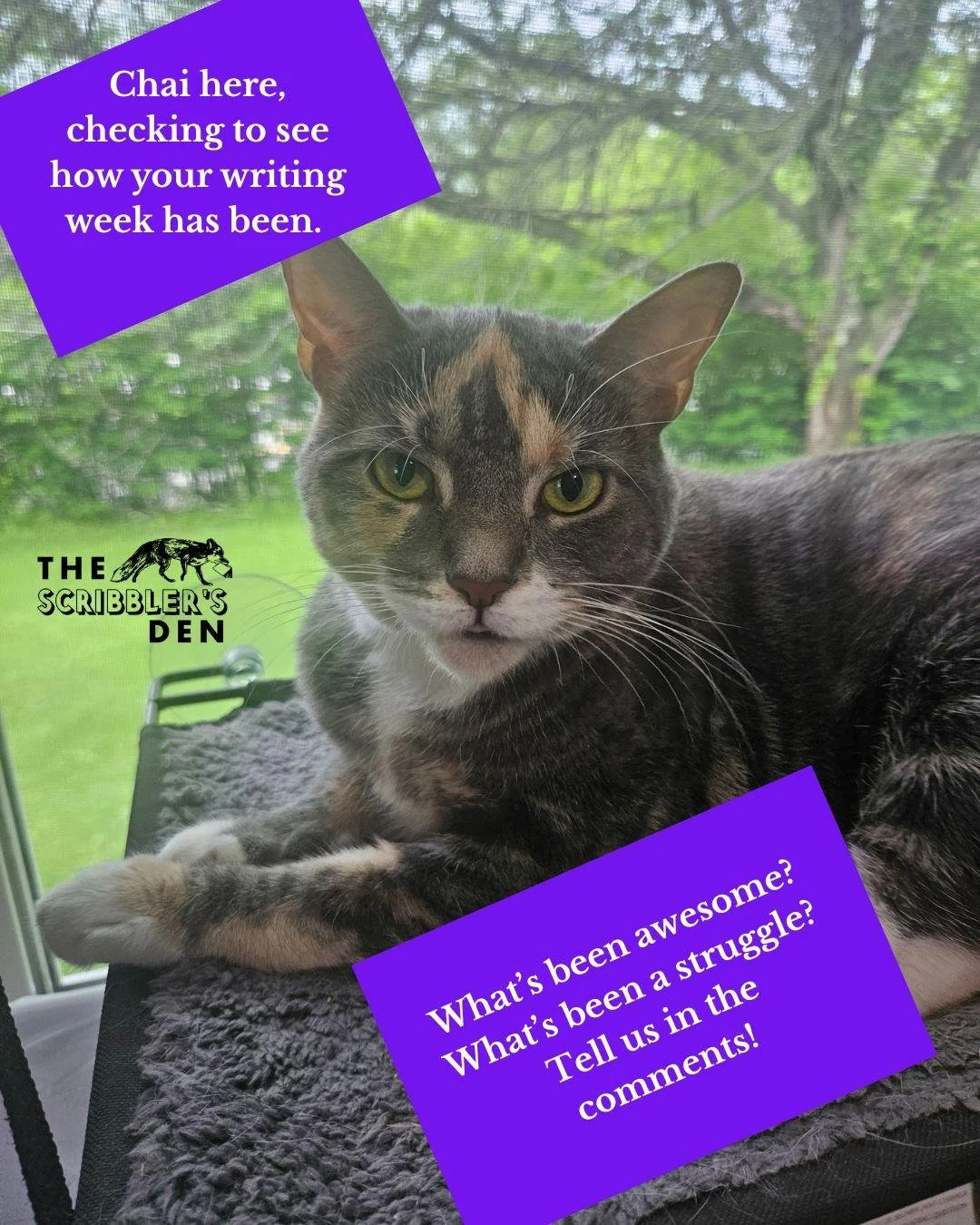 Tell us about your writing wins or struggles in the comments! We always want to have writing wins, but some weeks we have more struggles than wins. Chai is here to give you encouragement! Tell her in the comments! #WritingWins #WritingCommunity #Writ