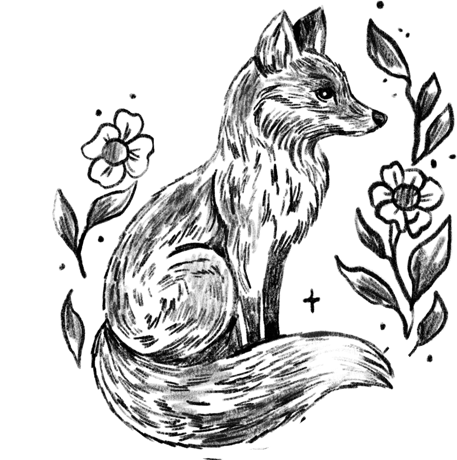 sitting fox.png
