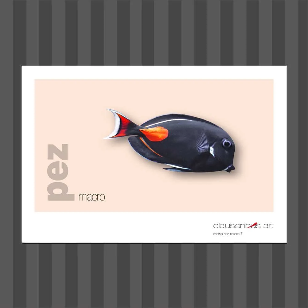 título: motivo del pez 7