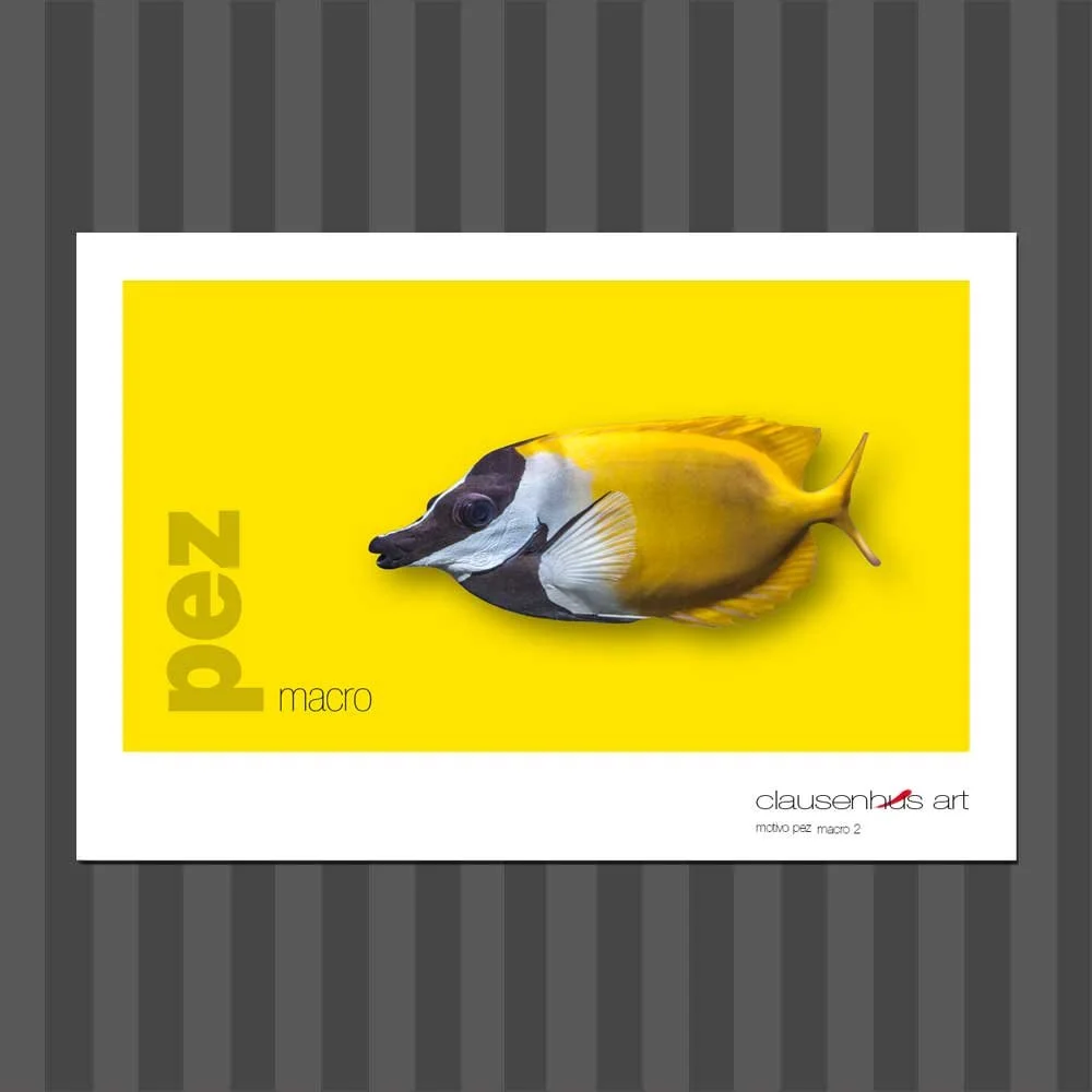 título: motivo del pez 2