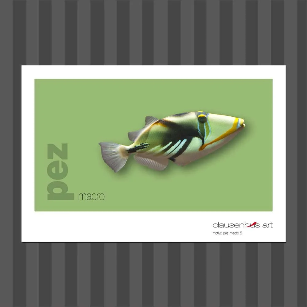 título: motivo del pez 5