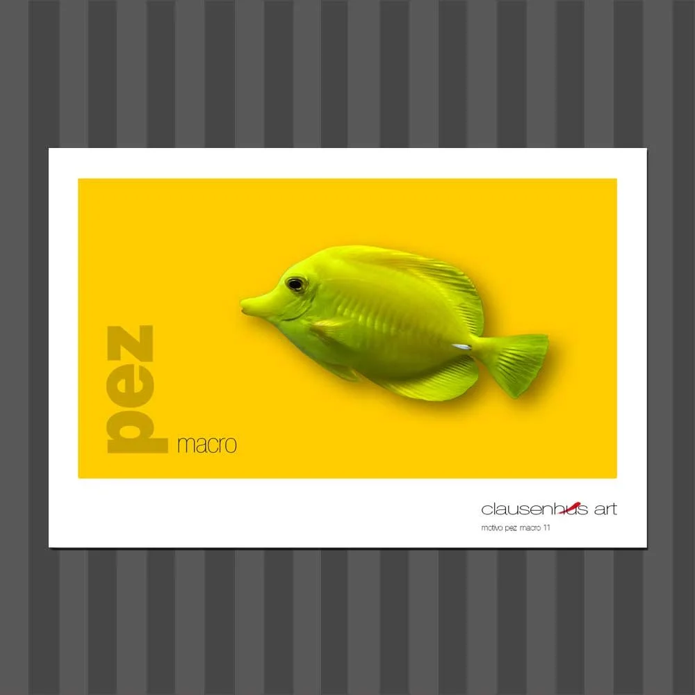 título: motivo del pez 11