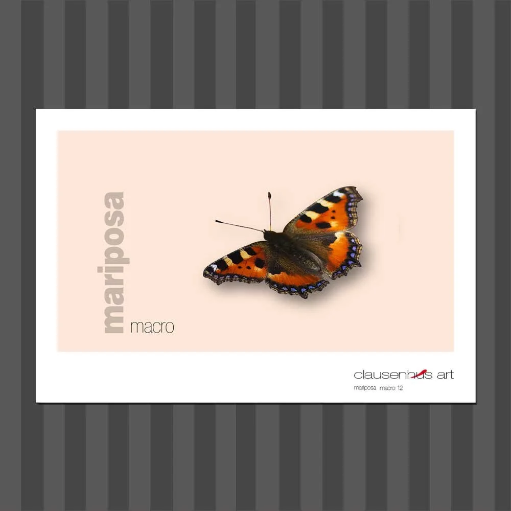 título: mariposa 12