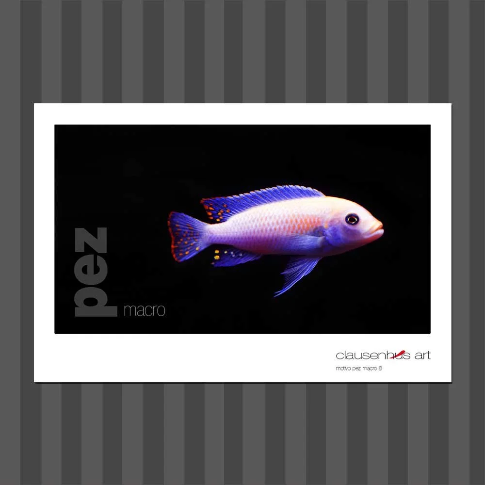 título: motivo del pez 8