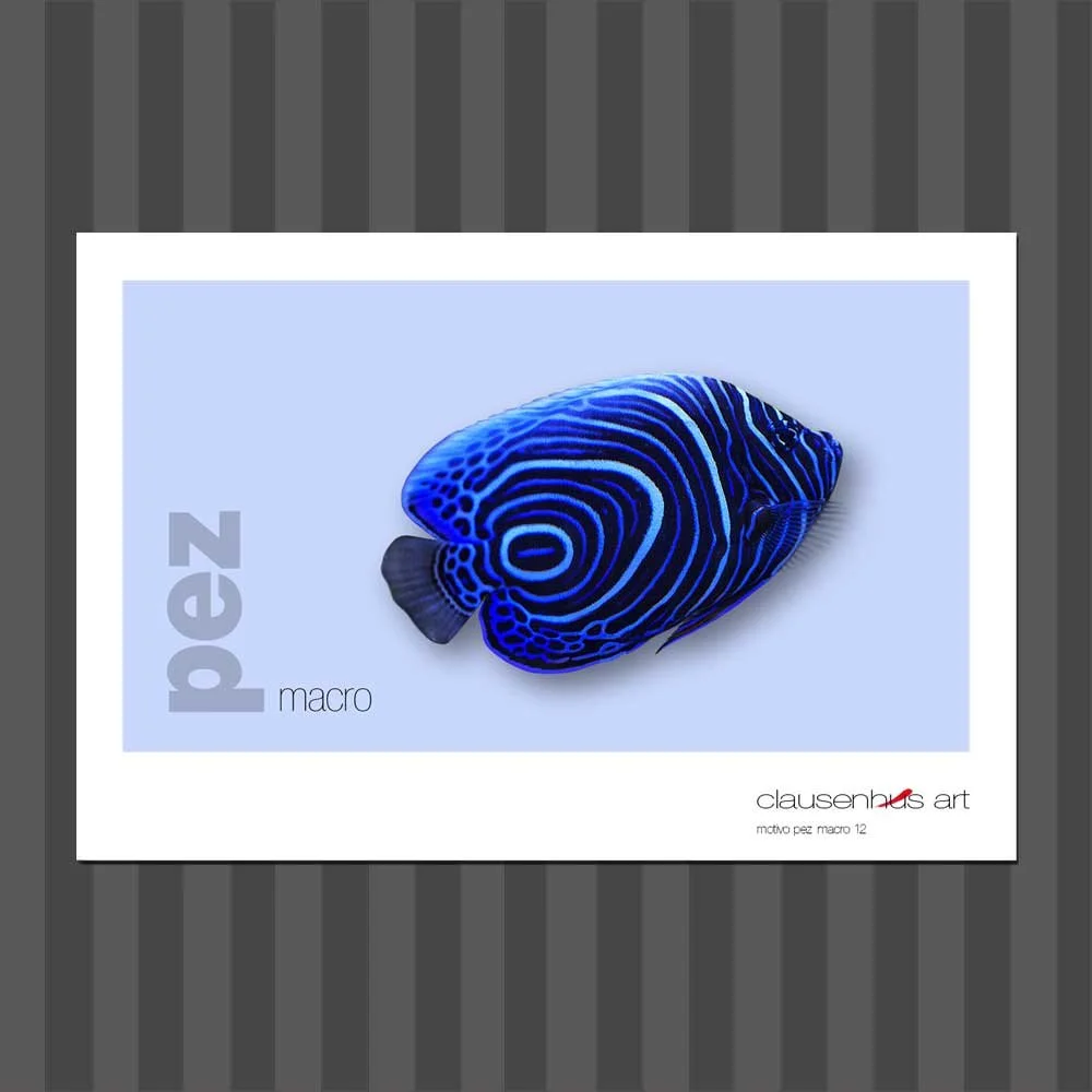 título: motivo del pez 12