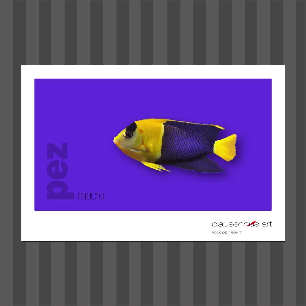 título: motivo del pez 14