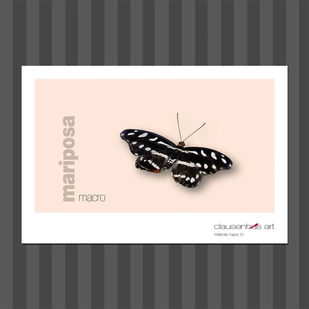 título: mariposa 10