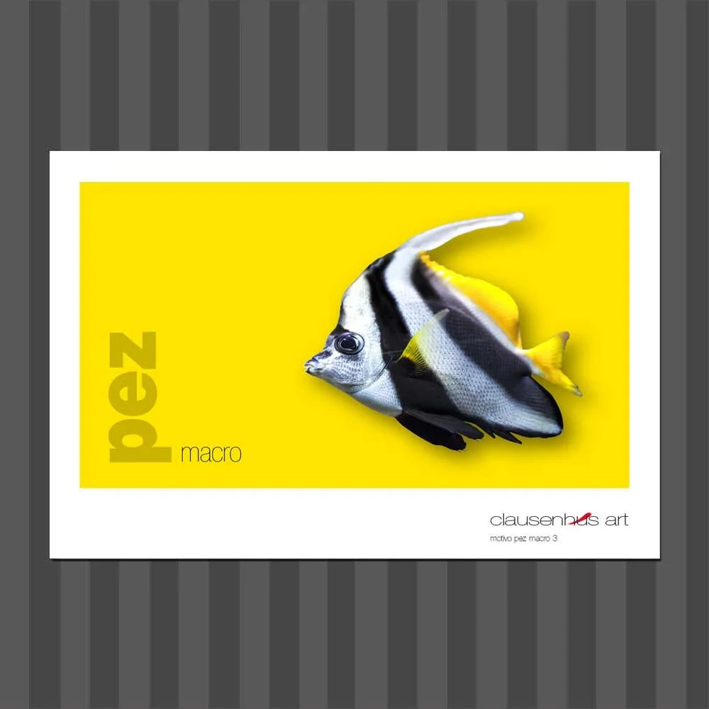 título: motivo del pez 3