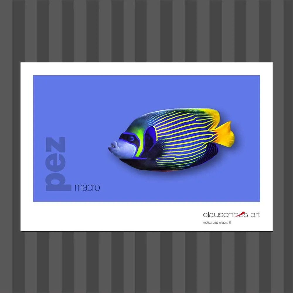 título: motivo del pez 6