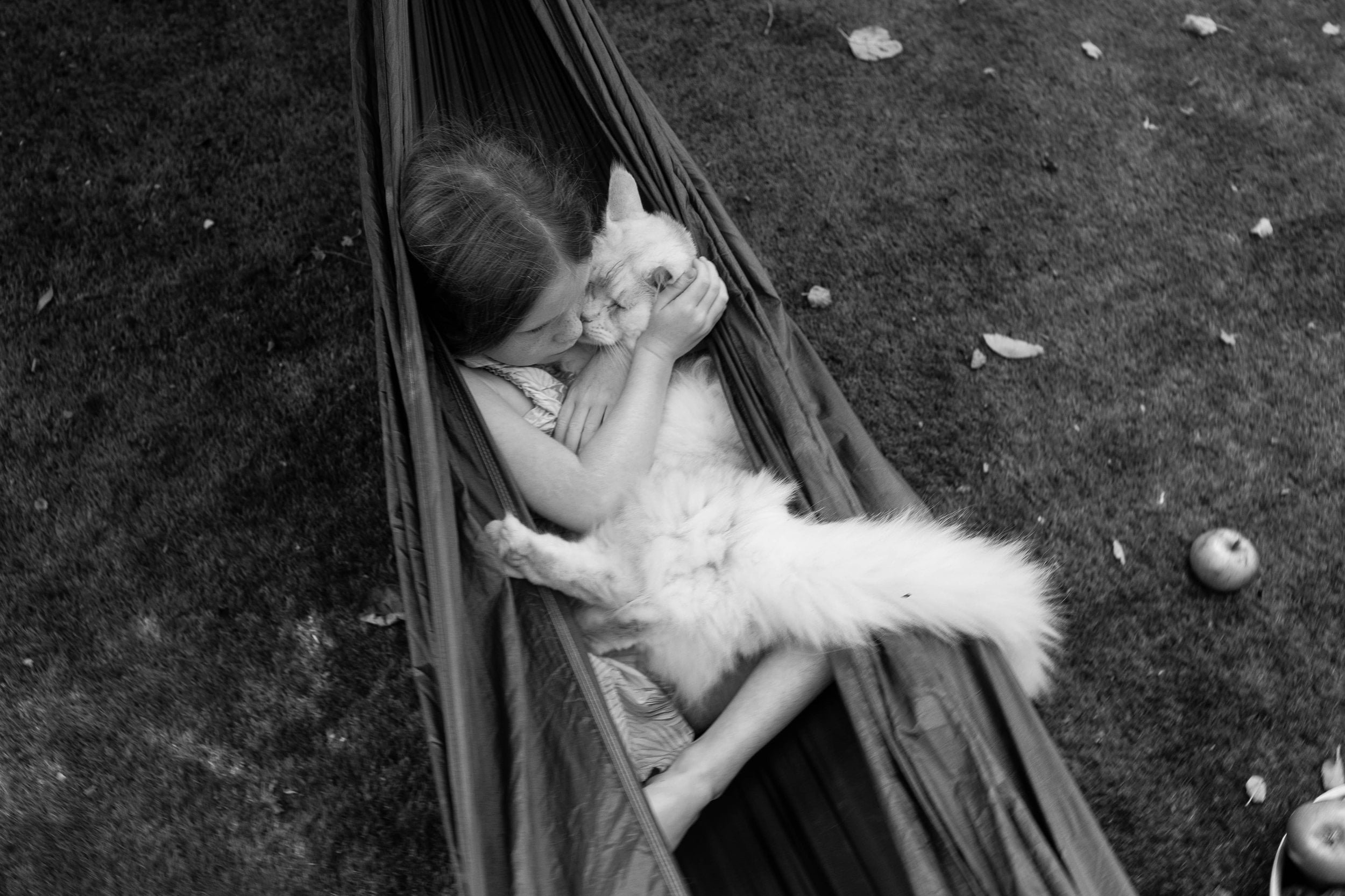 A young girl lies in a hammock hugging a fluffy cat closely on a grassy lawn