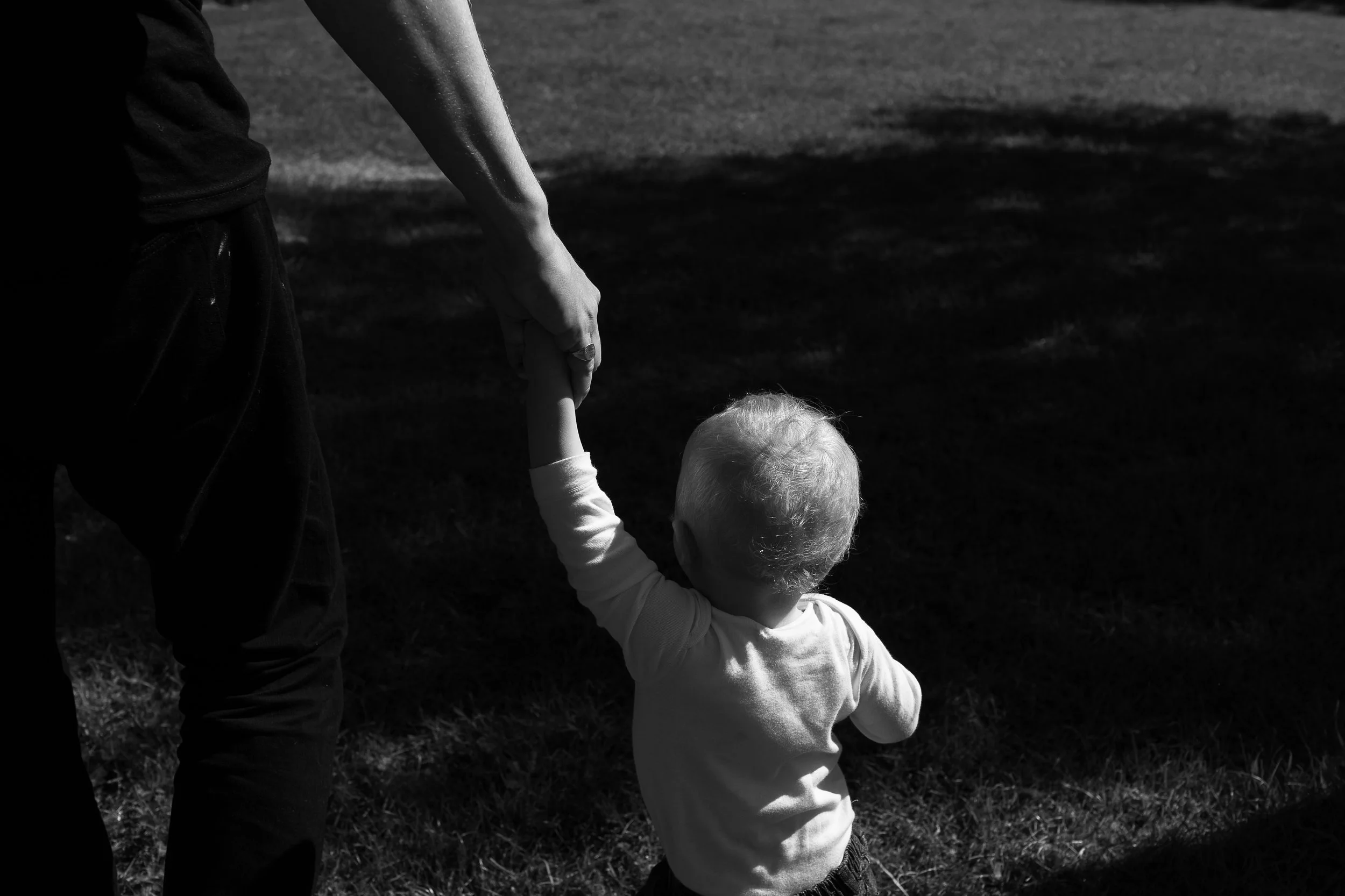 A small child has an adult hand while walking on grass in partial sunlight and shadow