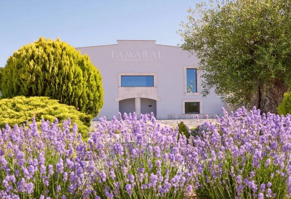 Tamaral - I hjärtat av Ribera del Duero