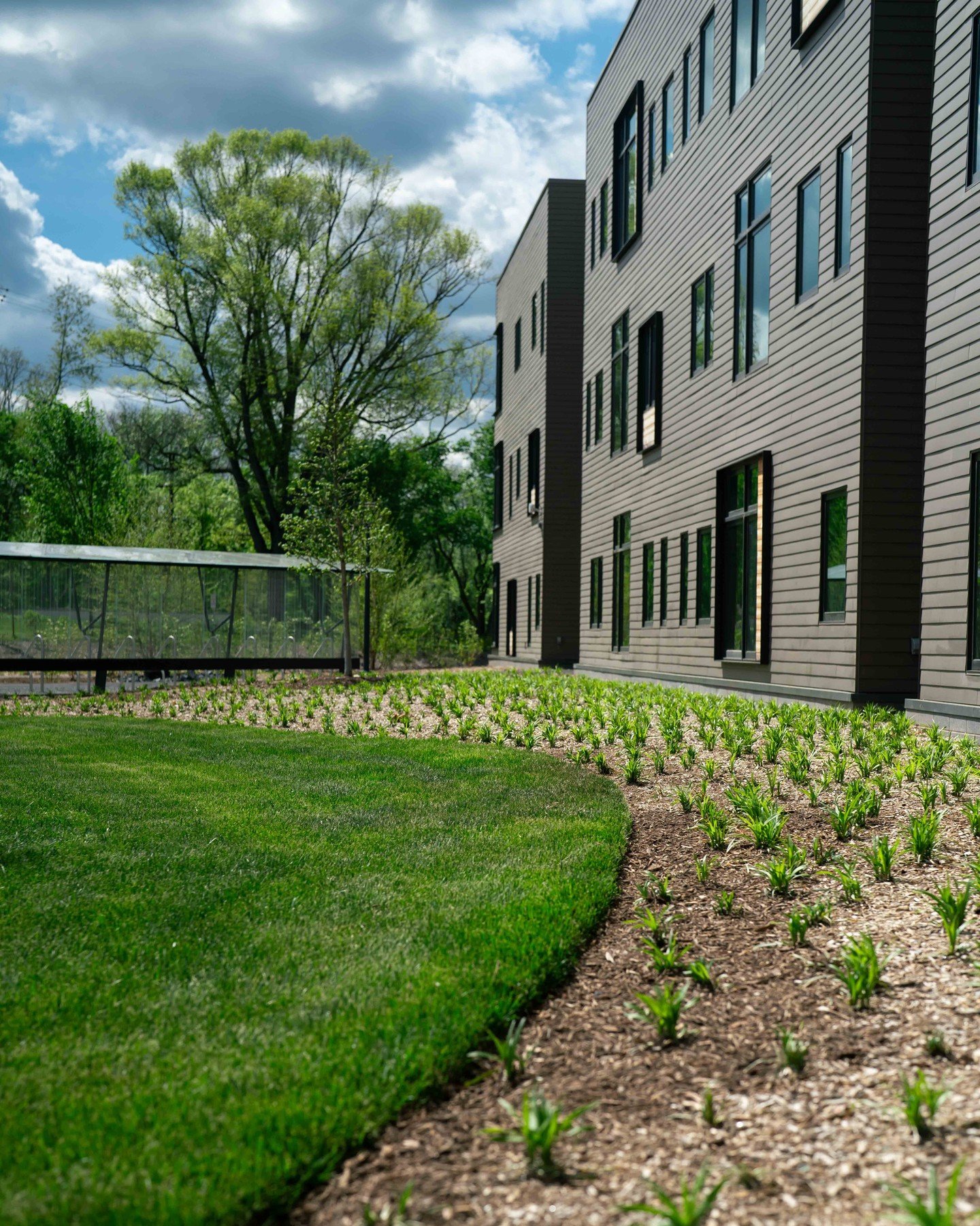 Liriopes deliver a polished and professional look to any landscape! #MayfieldGardens

#landscaping #landscapeslovers #landscapedesign #plants #nursery #mainline #philadelphia #trees