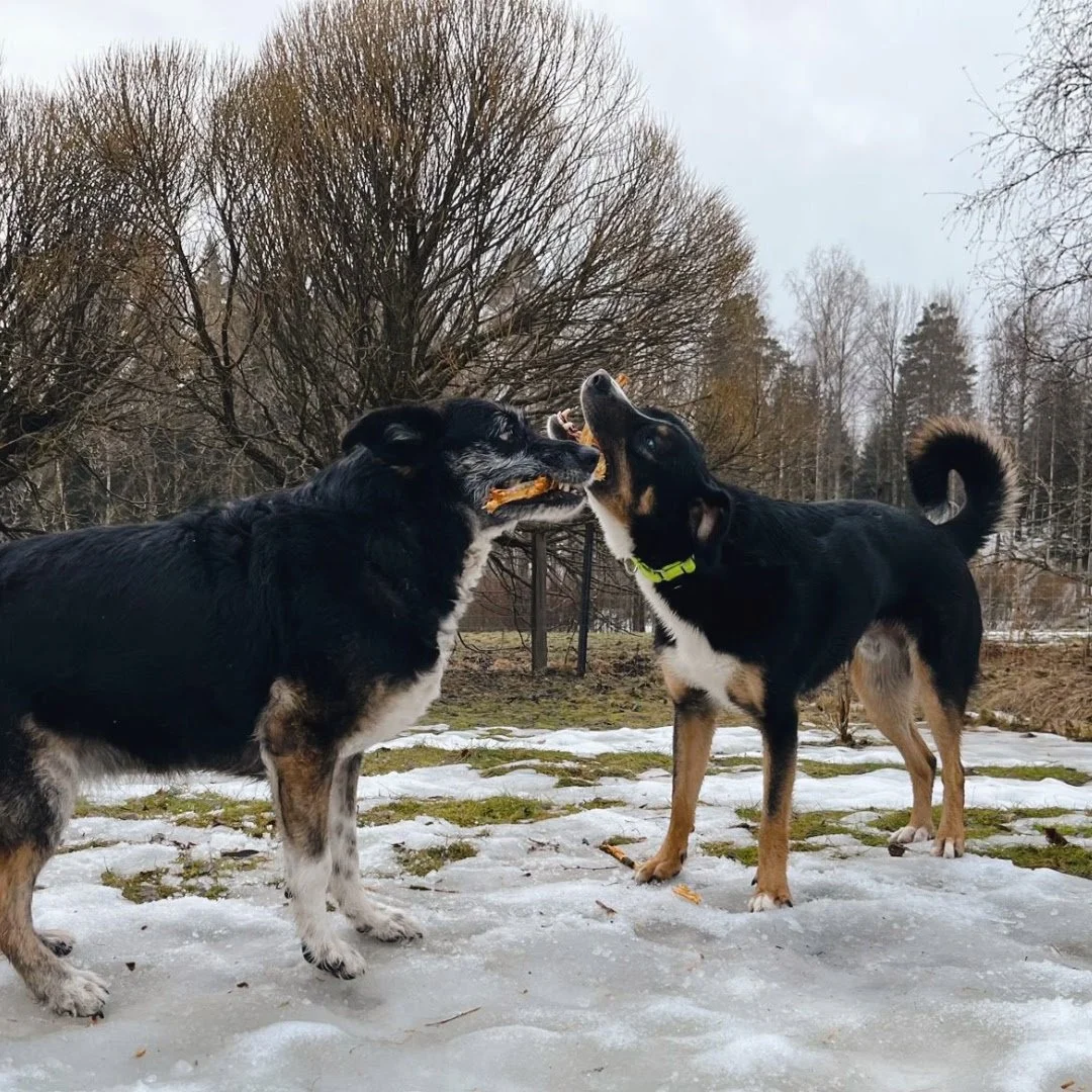 Ymmärryksestä syntyy helpompi arki.