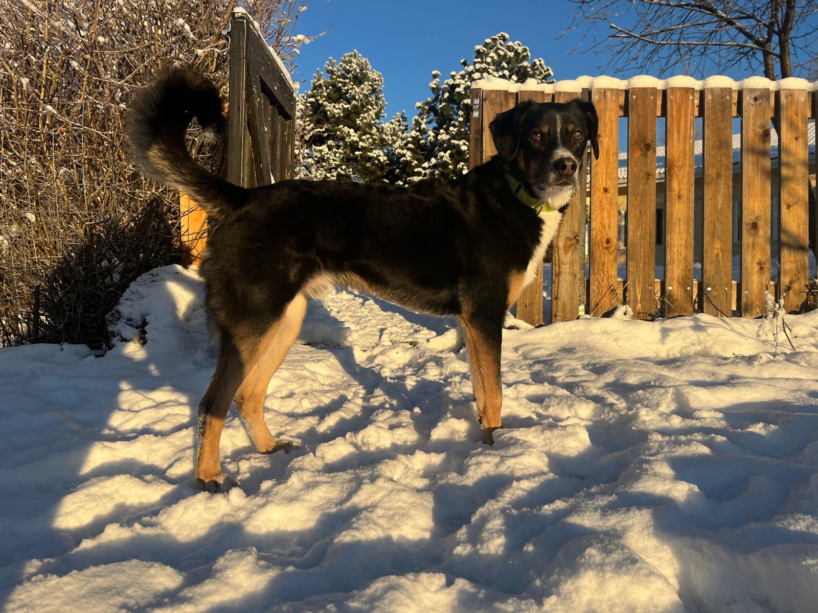 Rakkaus kasvaa, haasteista huolimatta <3