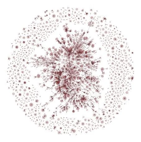 2026-02-23 15.17.36-1.jpg