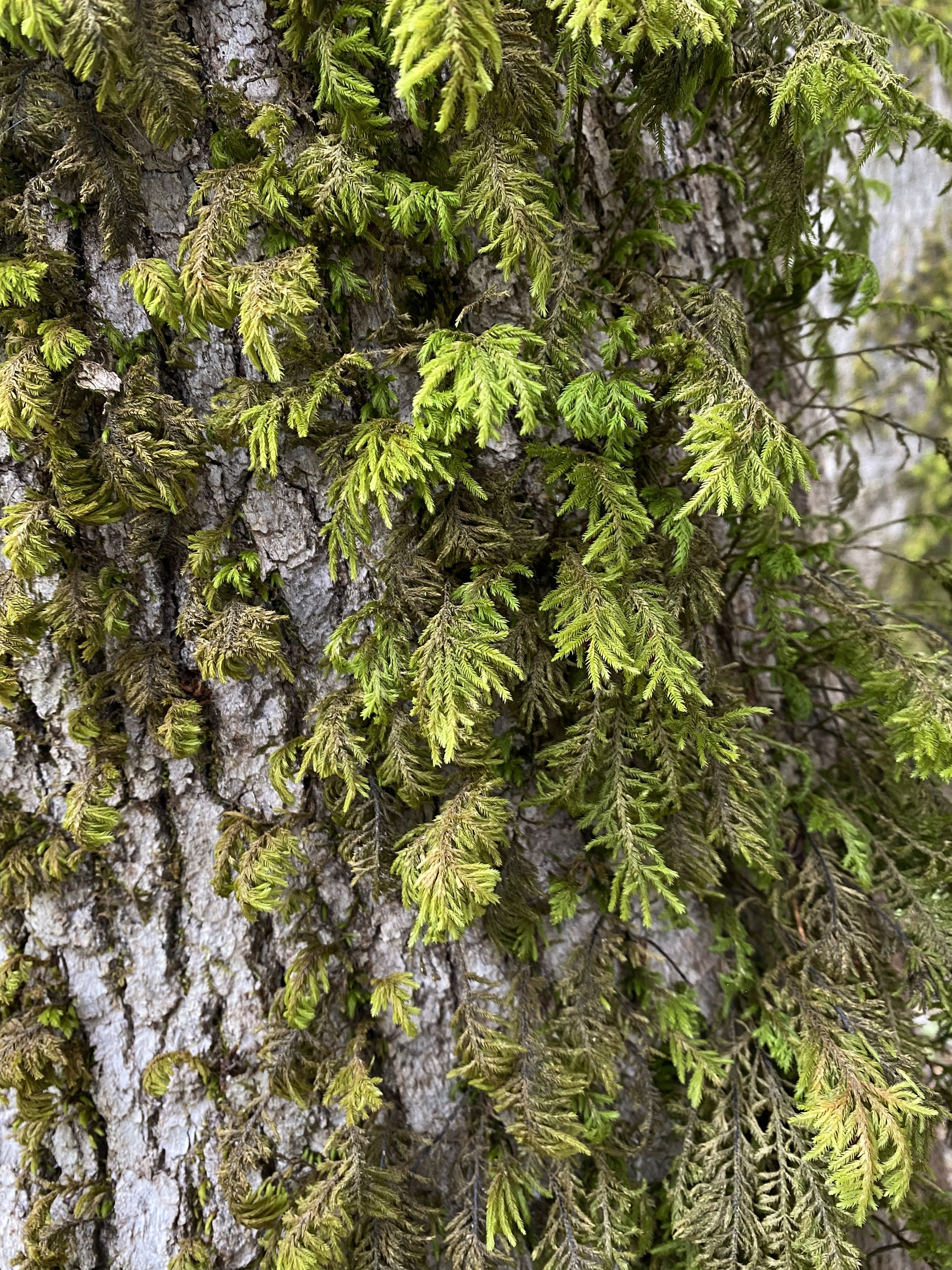 Women’s GatHERing - Hike & Chat
