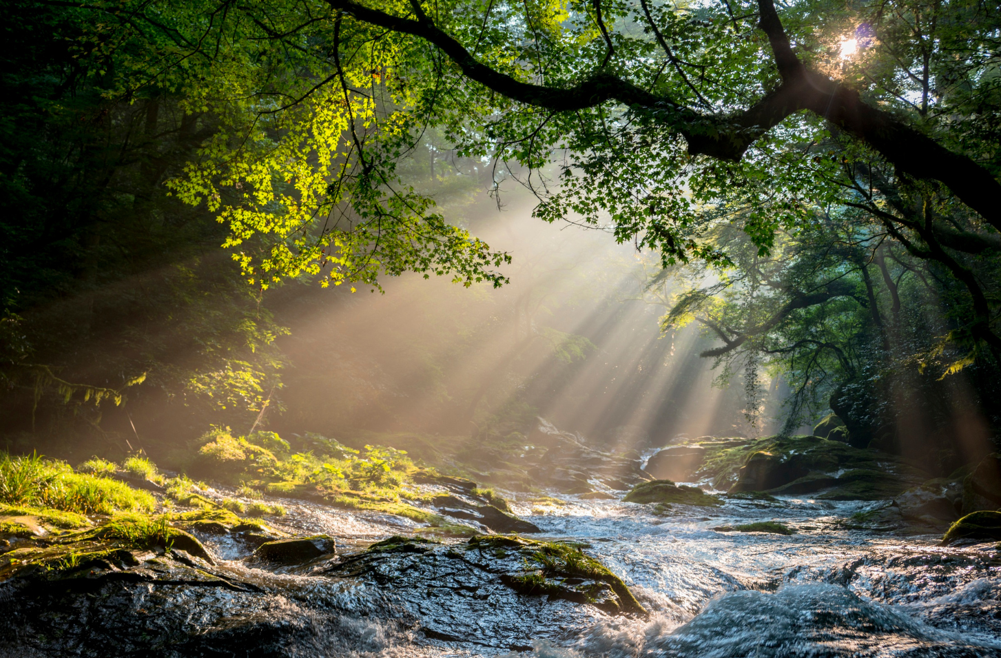 Slowing Down to the Speed of Life