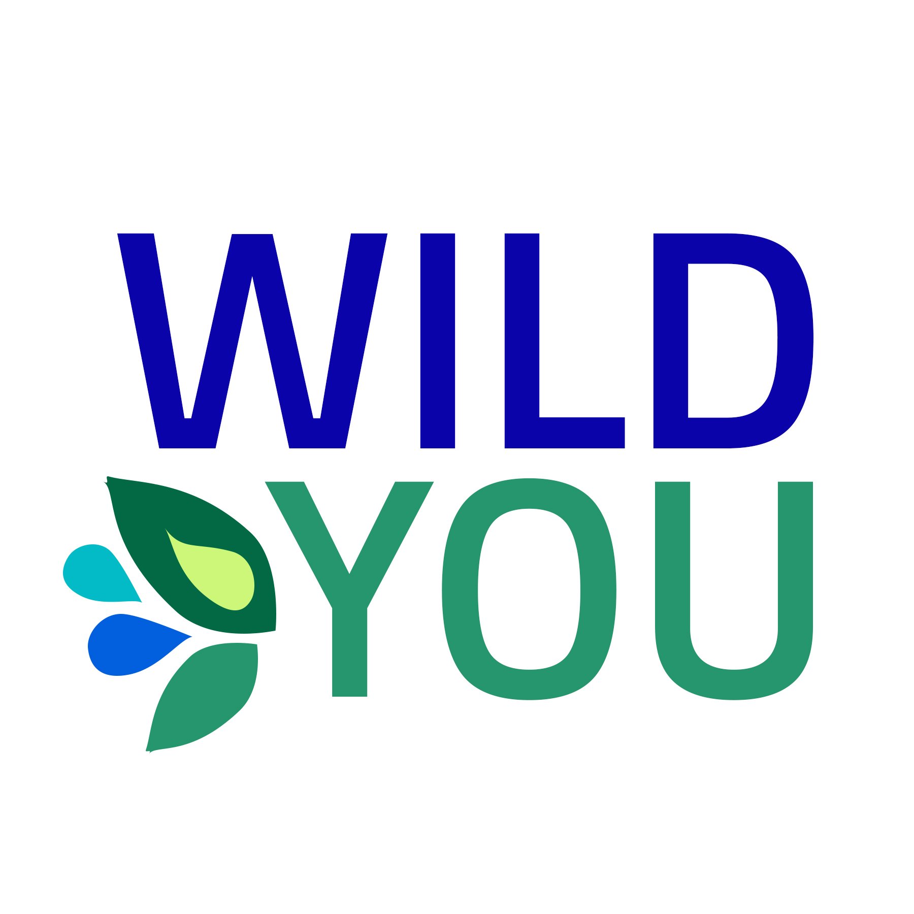 Wild You Forest Bathing
