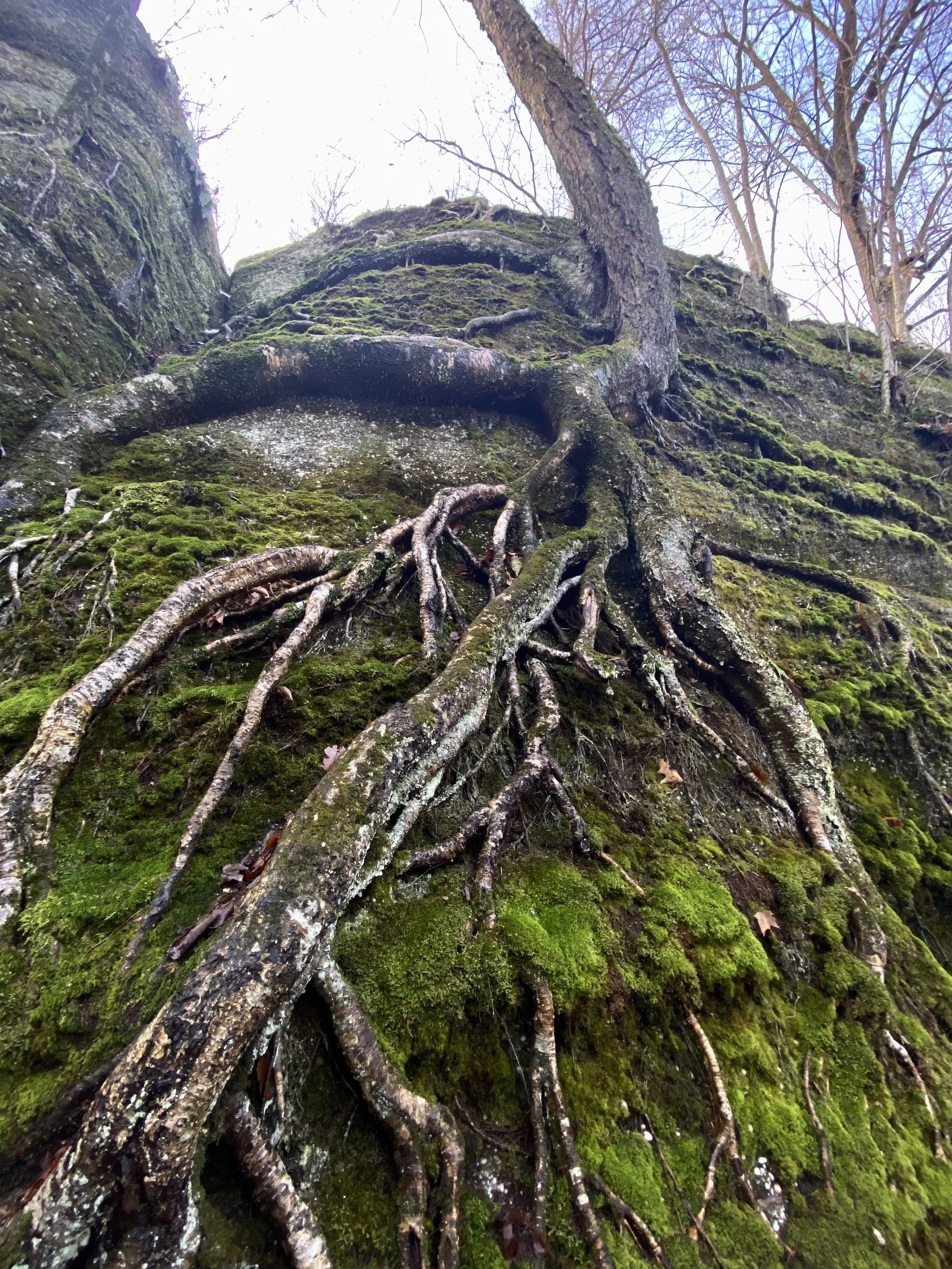 SAVE THE DATE: Summer Retreat